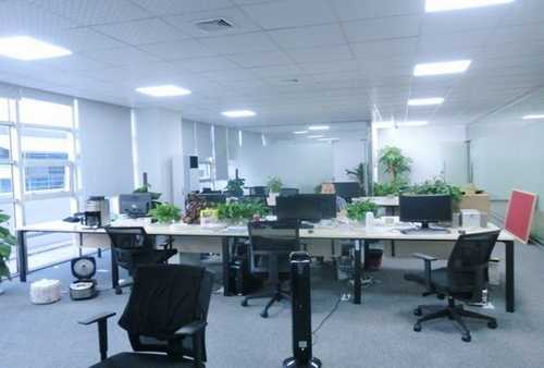 庄浪球阀价格多少