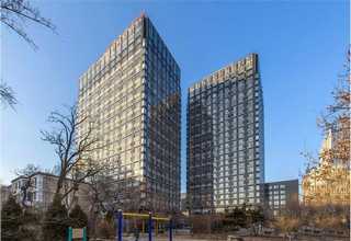 花青素组分检测合作