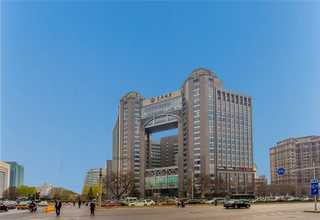 经济开发区白色系绿植租摆厂家